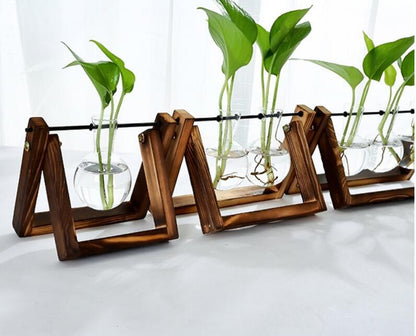 Elegant Glass Tabletop Plant Holder | Modern Home Décor